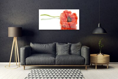 Image sur verre acrylique Fleur floral rouge