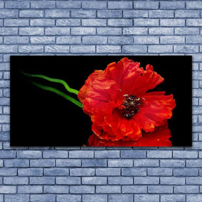 Image sur verre acrylique Fleur floral rouge