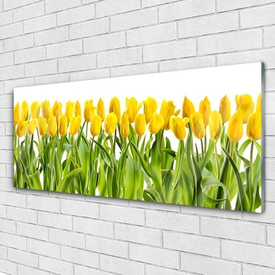 Image sur verre acrylique Tulipes floral jaune vert