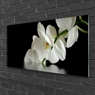 Image sur verre acrylique Fleurs floral blanc