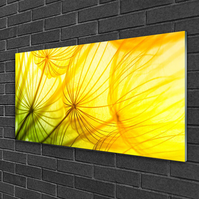 Image sur verre acrylique Pissenlit floral vert jaune