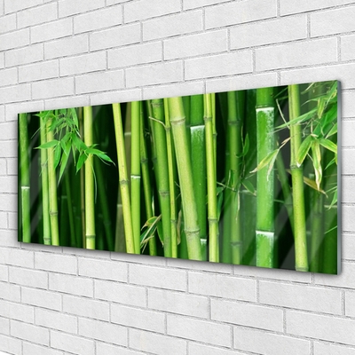 Image sur verre acrylique Bambou floral vert