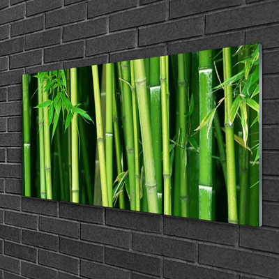 Image sur verre acrylique Bambou floral vert