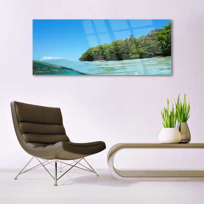 Image sur verre acrylique Mer arbres paysage bleu vert