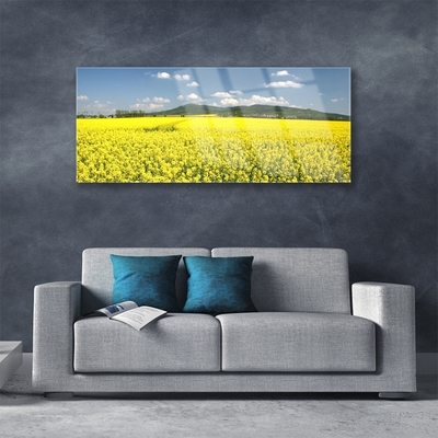Image sur verre acrylique Prairie nature jaune