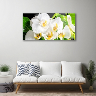 Image sur verre acrylique Pétales floral blanc vert