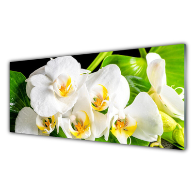 Image sur verre acrylique Pétales floral blanc vert