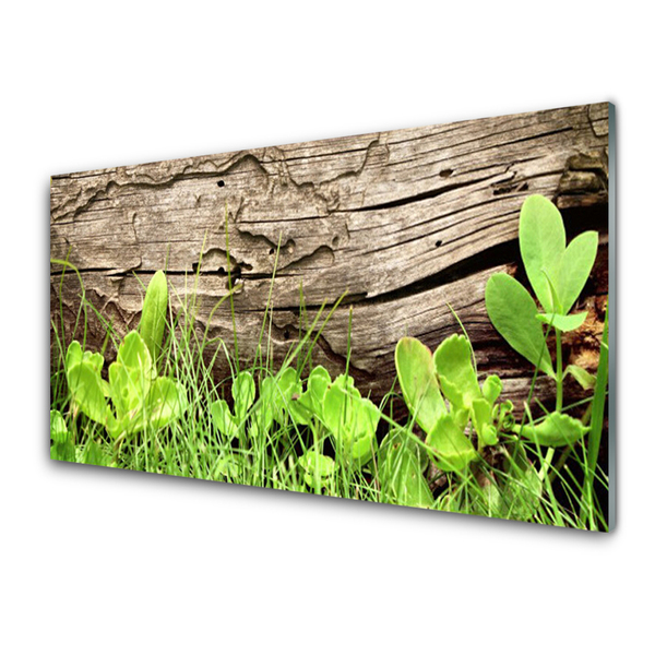 Image sur verre acrylique Feuilles herbe floral vert