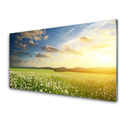 Image sur verre acrylique Fleurs prairie paysage vert blanc