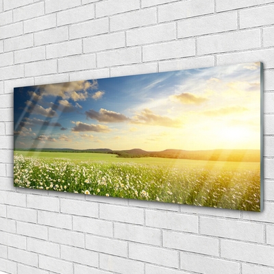 Image sur verre acrylique Fleurs prairie paysage vert blanc