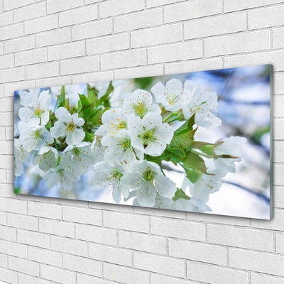 Image sur verre acrylique Fleurs floral vert blanc