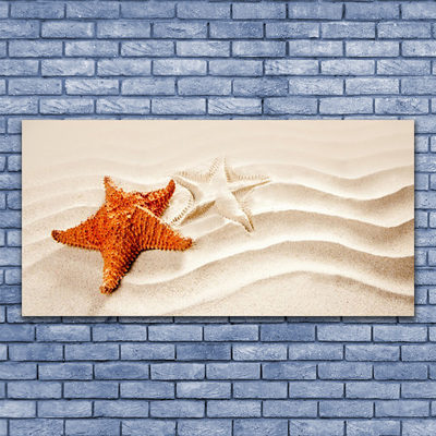 Image sur verre acrylique Sable étoile de mer art orange blanc brun