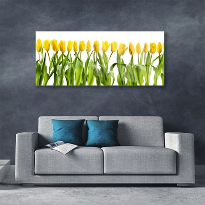 Image sur verre acrylique Tulipes floral vert jaune