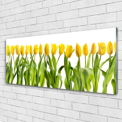 Image sur verre acrylique Tulipes floral vert jaune