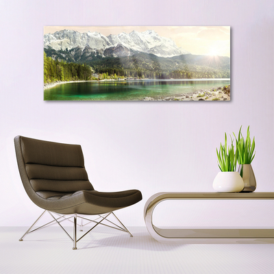 Image sur verre acrylique Forêt montagnes lac paysage blanc gris vert