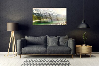 Image sur verre acrylique Forêt montagnes lac paysage blanc gris vert