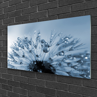 Image sur verre acrylique Pissenlit floral bleu
