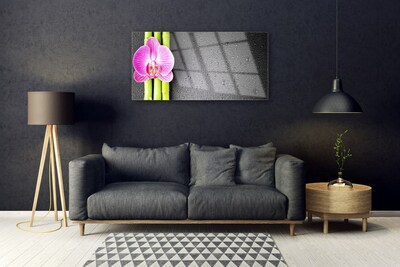 Image sur verre acrylique Fleur bambou floral vert rose