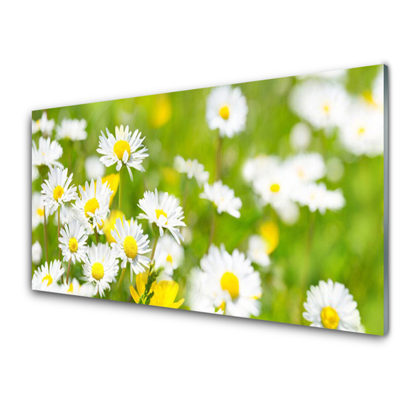 Image sur verre acrylique Marguerite floral jaune blanc