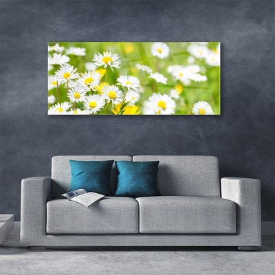 Image sur verre acrylique Marguerite floral jaune blanc