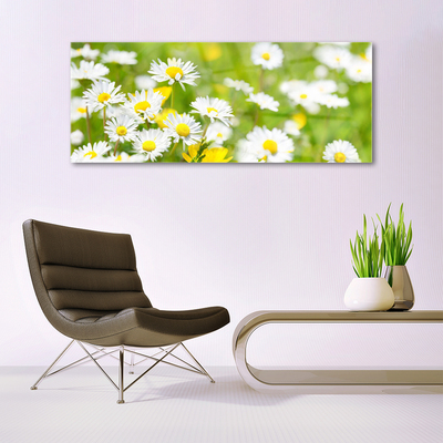 Image sur verre acrylique Marguerite floral jaune blanc