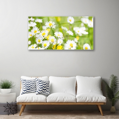 Image sur verre acrylique Marguerite floral jaune blanc