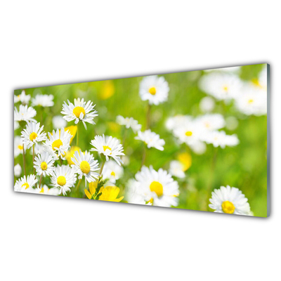 Image sur verre acrylique Marguerite floral jaune blanc