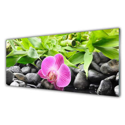 Image sur verre acrylique Feuilles fleur pierres art rose vert noir