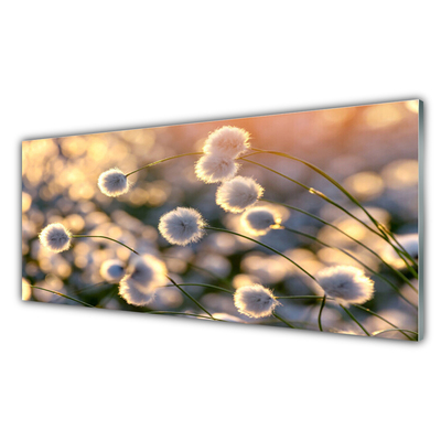 Image sur verre acrylique Fleurs floral gris
