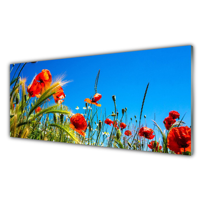 Image sur verre acrylique Fleurs floral rouge vert