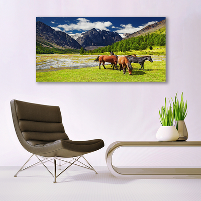 Image sur verre acrylique Montagnes cheval animaux gris vert brun noir