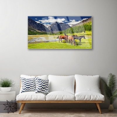 Image sur verre acrylique Montagnes cheval animaux gris vert brun noir