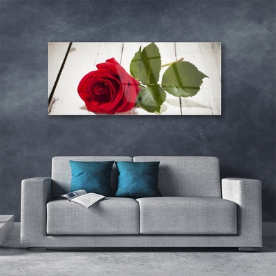 Image sur verre acrylique Rose floral rouge