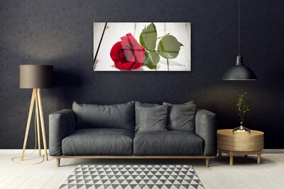 Image sur verre acrylique Rose floral rouge