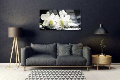 Image sur verre acrylique Pierres fleurs floral blanc noir