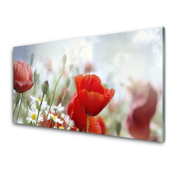 Image sur verre acrylique Fleurs floral rouge jaune blanc