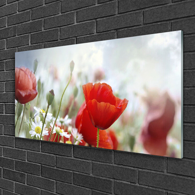 Image sur verre acrylique Fleurs floral rouge jaune blanc