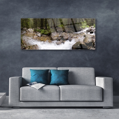 Image sur verre acrylique Forêt ruisseau nature brun vert blanc gris