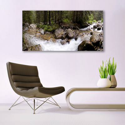Image sur verre acrylique Forêt ruisseau nature brun vert blanc gris