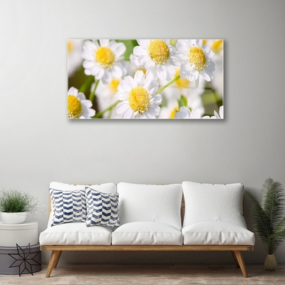 Image sur verre acrylique Marguerite floral jaune blanc