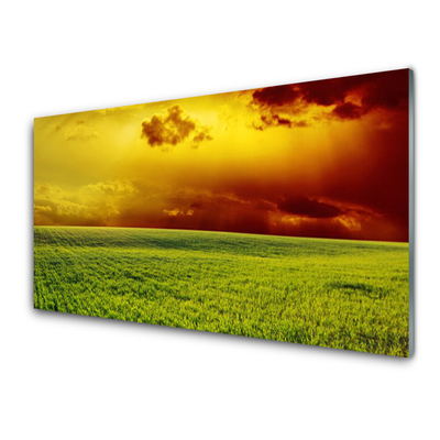 Image sur verre acrylique Champ paysage vert