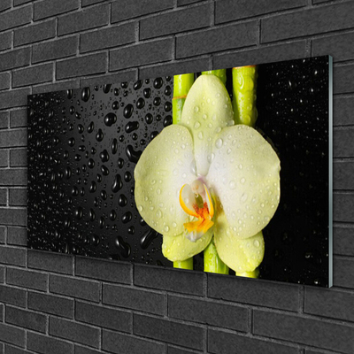 Image sur verre acrylique Fleur bambou floral vert jaune