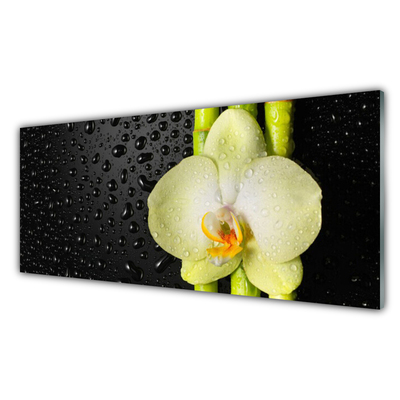 Image sur verre acrylique Fleur bambou floral vert jaune