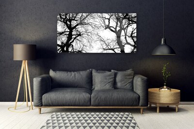 Image sur verre acrylique Arbres nature noir