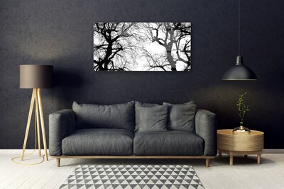 Image sur verre acrylique Arbres nature noir