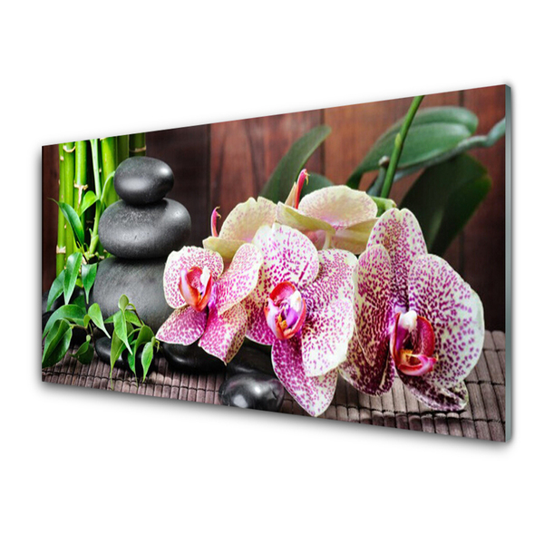 Image sur verre acrylique Pierres bambou fleurs floral vert gris rose