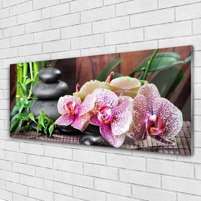 Image sur verre acrylique Pierres bambou fleurs floral vert gris rose