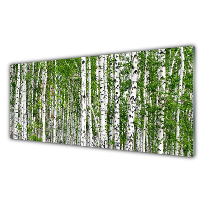 Crédence de cuisine en verre Bouleau forêt arbres nature vert blanc