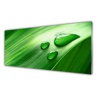 Crédence de cuisine en verre Feuille eau gouttes floral vert