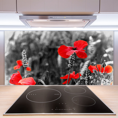 Crédence de cuisine en verre Coquelicots floral rouge gris
